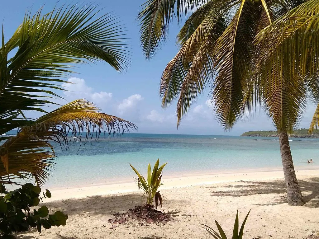 דירה סנט-אן Appartements: Plage & Commerces A 200M
